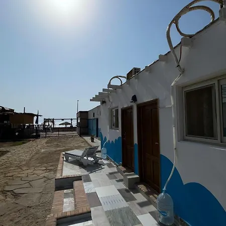 Отель Dolphin Camp