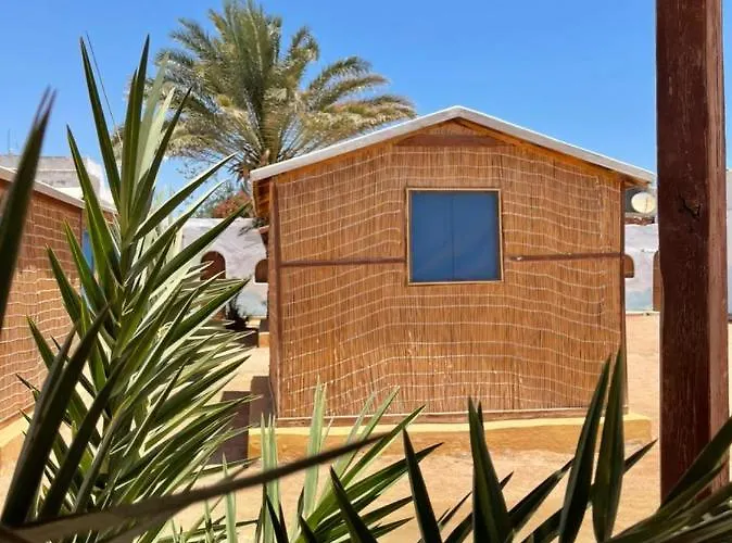 Kamp alanı Dolphin Camp