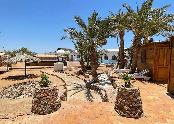Dolphin Camp * Dahab