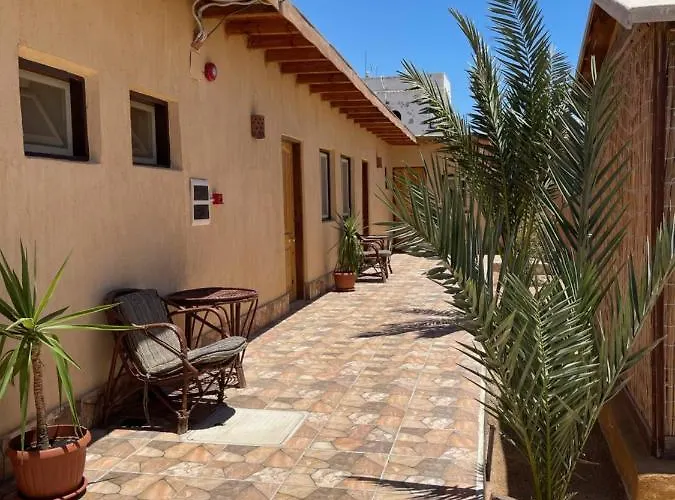 Dolphin Camp Kamp alanı