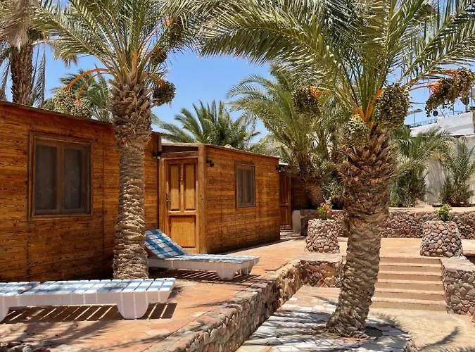 Dolphin Camp
