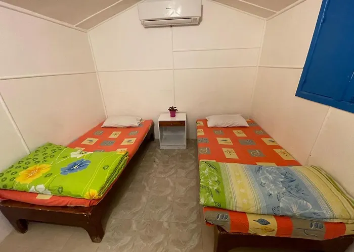 Dolphin Camp *