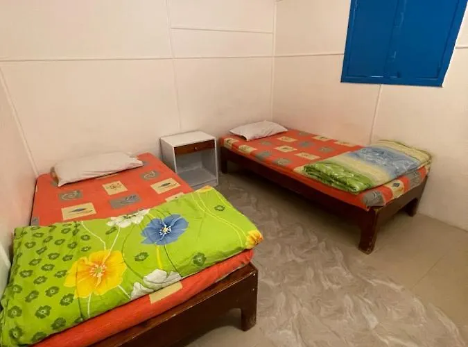 Dolphin Camp Kamp alanı *