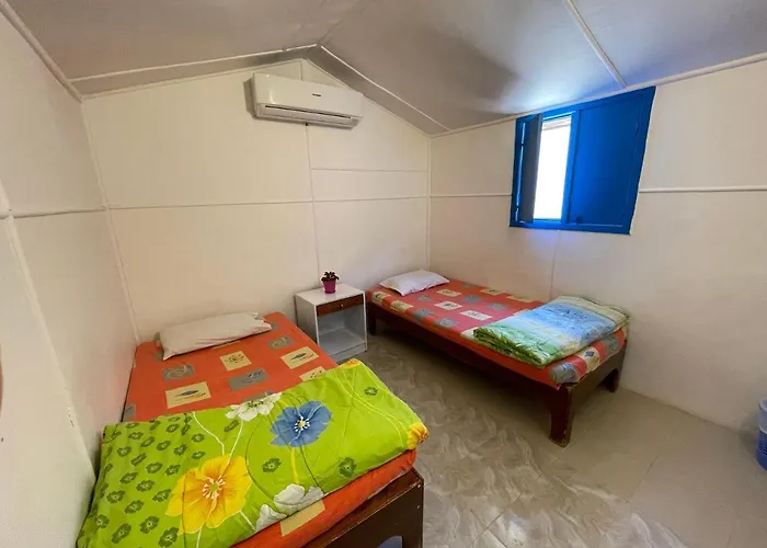 Kamp alanı Dolphin Camp