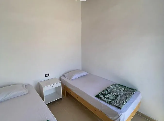 Dolphin Camp Kamp alanı