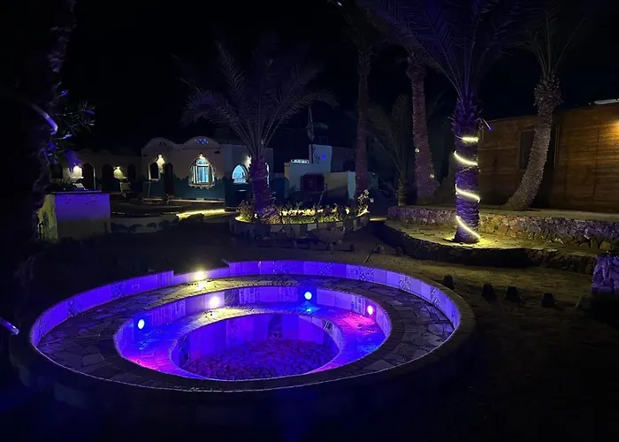 Dolphin Camp Kamp alanı *