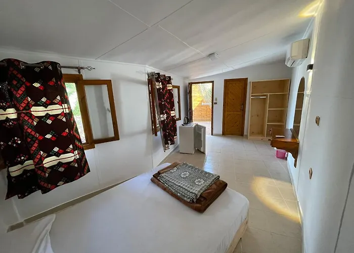 Dolphin Camp Kamp alanı