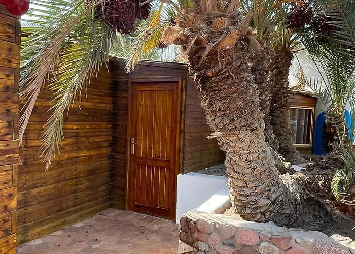 Dolphin Camp Kamp alanı *