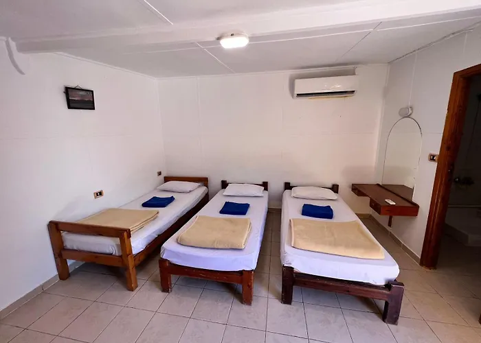 Kamp alanı Dolphin Camp *