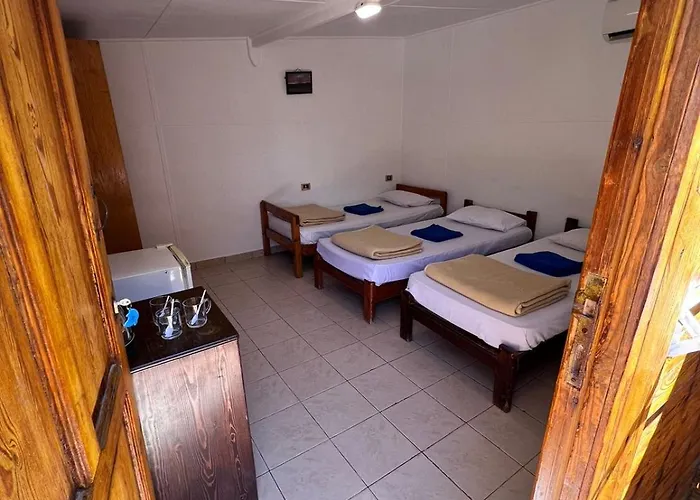 Kamp alanı Dolphin Camp *